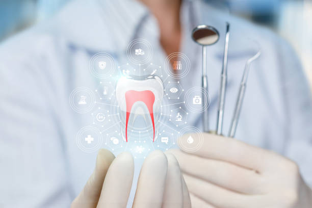 Professional Holistic Dental Care Services in Lima, PA
